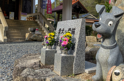 大瀧山地蔵院のペット葬|合葬・合祀プラン